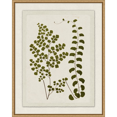 Plant Presses 3 Print by Lillian August