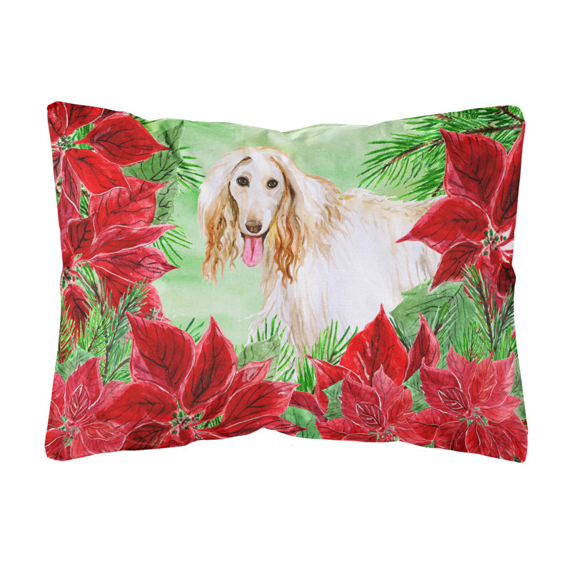  Coussin décoratif afghan Hound Poinsettas