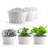 Plastic Indoor / Outdoor Wall Planter-1505610632