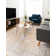 Saphira Chenille Oriental Indoor Rug