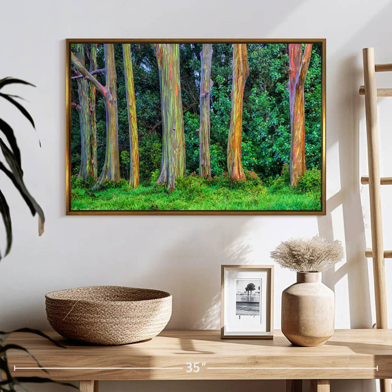 Eucalyptus arc-en-ciel, Cadre flottant doré, 25 po x 17 po