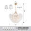 6 - Light Iron Chandelier