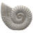 Coastal Woven Shell For Home Decor - Decorative Figurine Sculpture Object For Table Decor - Decorations For Living Room And Shelf Display - 12", White-312666996