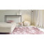Makaila Silky Shaggy Pink Area Rug-38292013