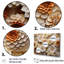 «Vibrant White Zinnias Collage - Zinnias», ensemble d'art mural-107741746-107741750