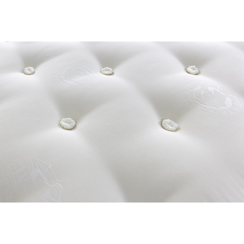 Whole Sleep Cotton 6 Plush Mattress, King