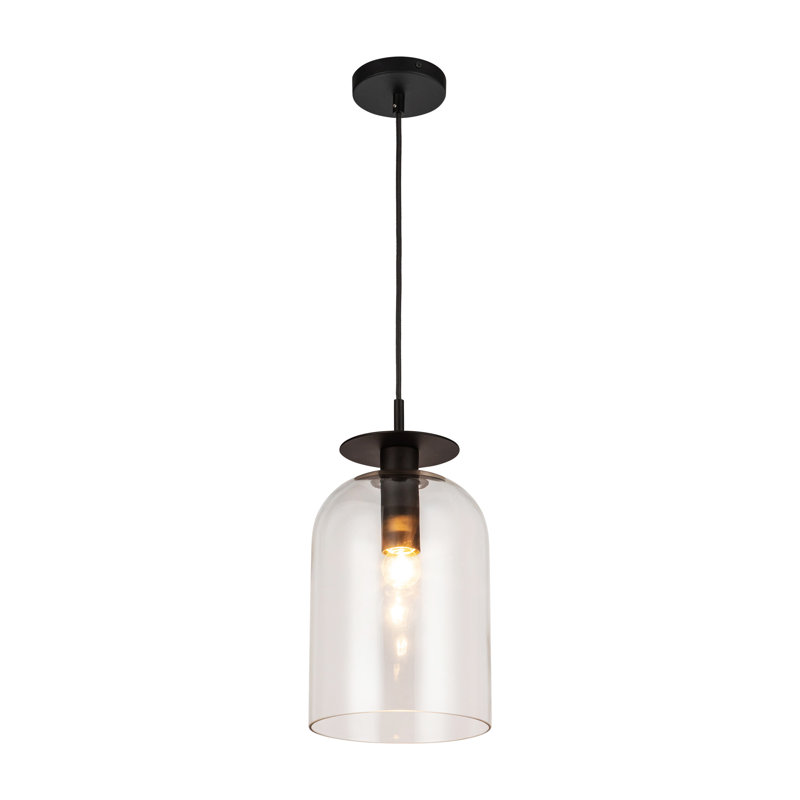 Luminaire suspendu simple à 1 lumière Delisa, Noir mat