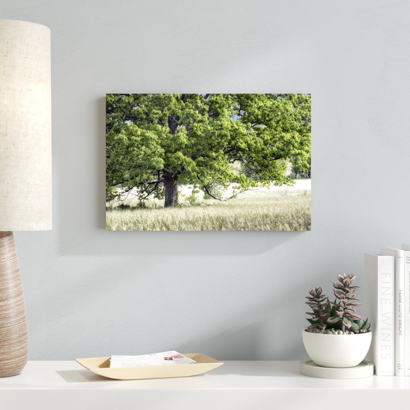 Arbre en été, H 12 po x l 18 po x P 1,25 po