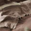 Biella Cocoa & Roebuck Duvet Cover-2083766889