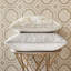Naomi Sheer Overlay Euro Sham