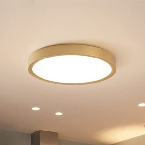 Boncho LED Flush Mount