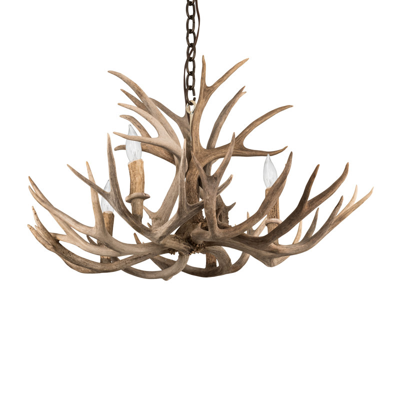 Lustre fantaisie 4 lumières panache mule Deer