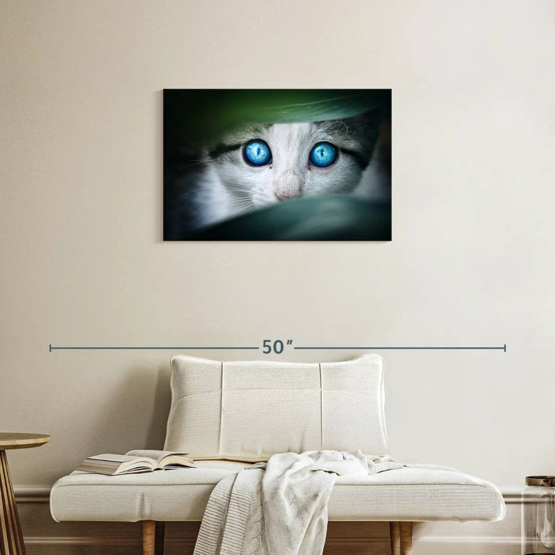 Brampt Crystal Eyed Cat