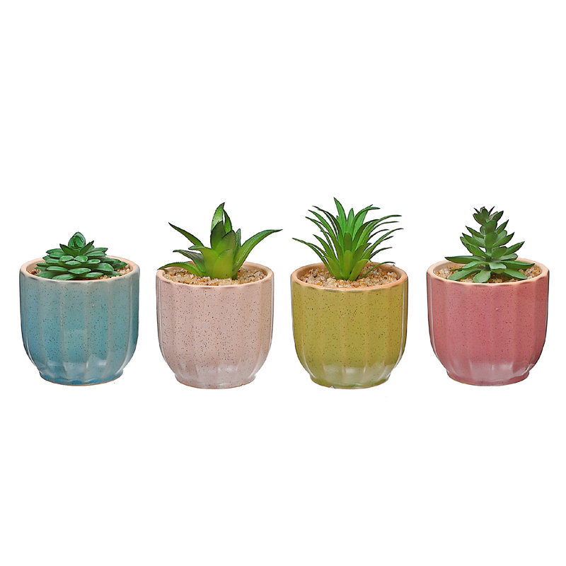 Arrangement floral succulent en pot