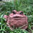 Toad Hollow Handmade Statue Planter-1494286994