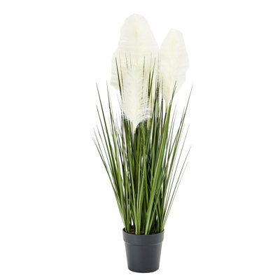 Plante de 32 po Pampas