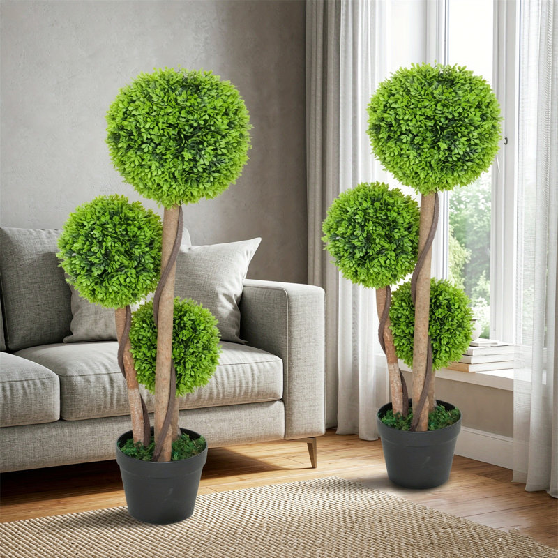90 Plant