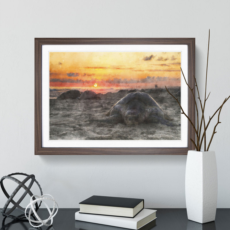 Turtle Beach - Picture Frame Graphic Art, Walnut, 36cm H x 48cm W x 2cm D