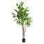 Faux Bonsai Tree in Pot-760590342