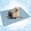 PET - B3022C Nylon rafraîchissant-95187678-95187677