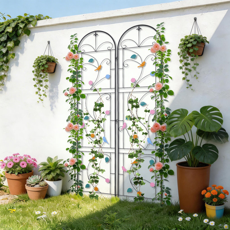 214cm H x 97.5cm W Iron Arched Trellis