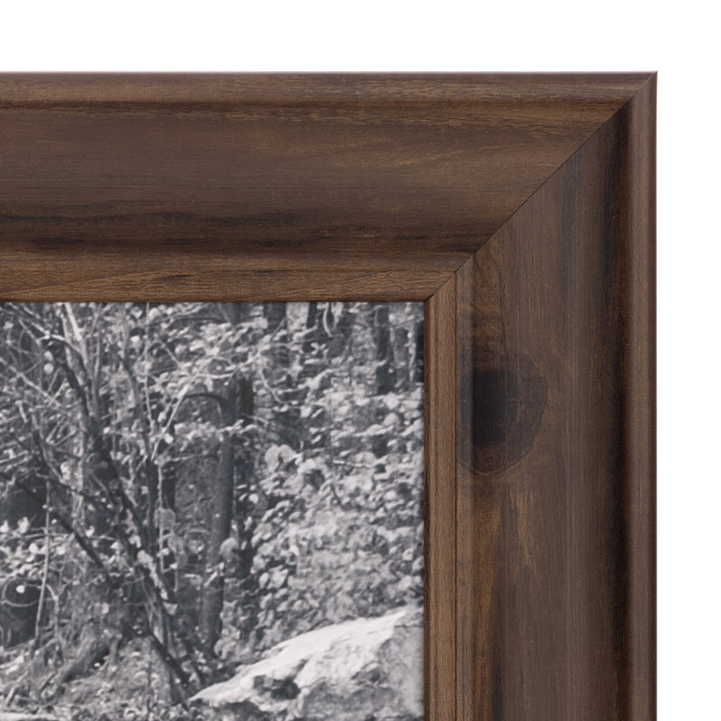 Grand cadre photo Gallery Solutions, 16 po x 20 po, Brun