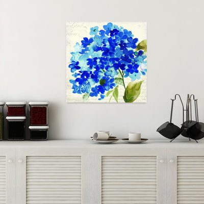 Hampton Hydrangea II, délicat hortensia biologique élégant, art floral naturel
