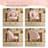 Elizabeth Shell-Shaped Vanity Chair-1085956892