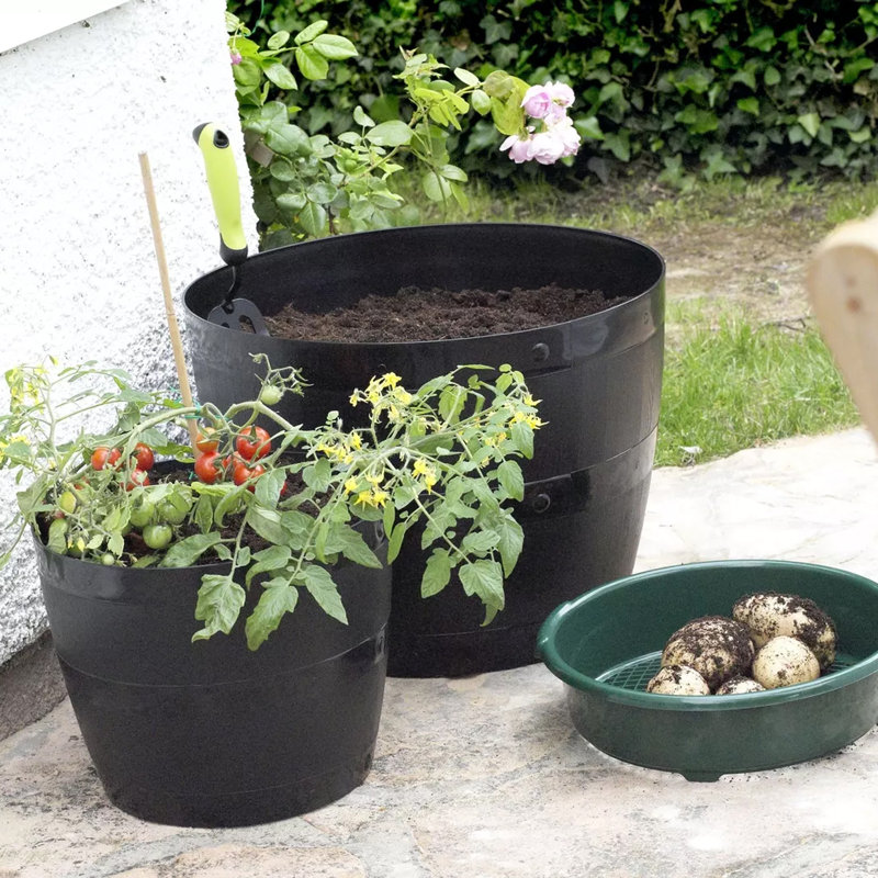 Pot Planter