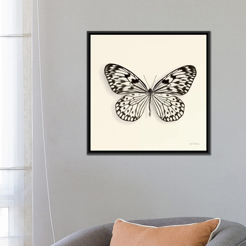 «Butterfly V in B&W», impression sur toile, H 18 po x l 18 po x P 1,5 po, Toile avec cadre noir, Pas de tapis