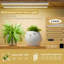 Support pour plante Renetia-1796624132