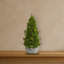 Arbre de Noël artificiel vert de cyprès 1,5 po