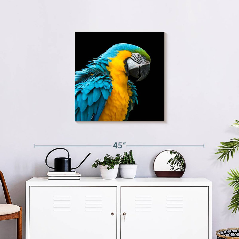 Crowle Charming Macaw, 24" H x 24" W