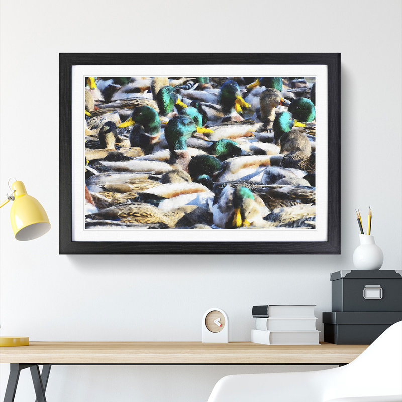 Mallard Ducks - Picture Frame Painting, Black Framed, 36cm H x 48cm W x 2cm D