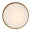 Hinkley Cedric Flush Mount Flat-1354030739