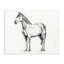 Cheval en toile gris anthracite, design par Leah Noel Art-646834795