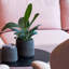 Adona Handmade Pot Planter-886919528-886919521