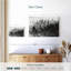Alvord Misty Summer Forest-107864357