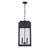 Archelle 2 - Light Outdoor Hanging Lantern-592717781