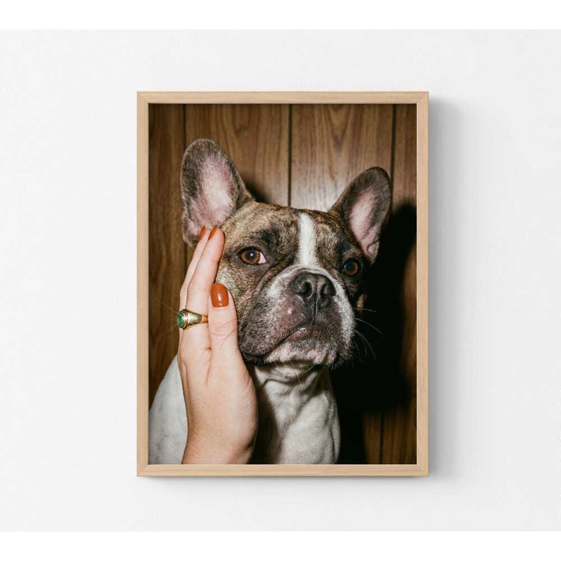 Frenchie Wall Art, Retro Bulldog Print (Multiple Sizes & Frames), H 32 po x l 24 po, Impression encadrée sans passe-partout