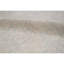 Ziegler Wool Oriental Area Rug