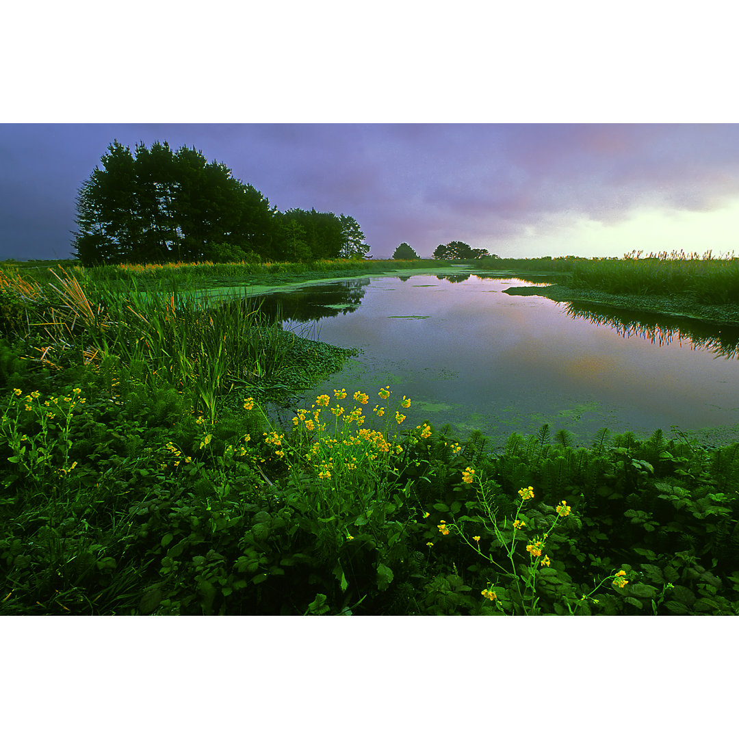 Wildlife Sanctuary bei Camp - Leinwandbild