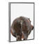 Art hippopotame-49839940-49839938