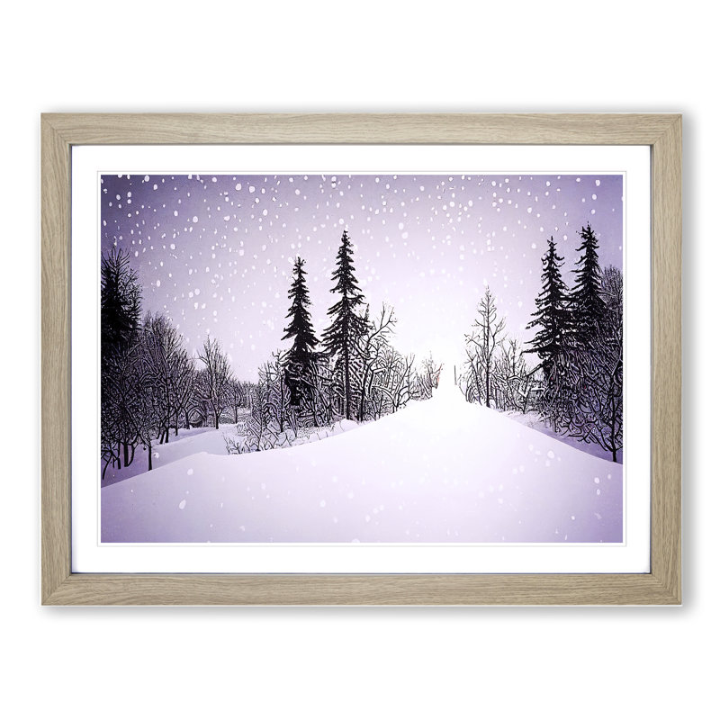 Pine Tree Forest Winter Vol.6 - Single Picture Frame Print, 46cm H x 64cm W x 2cm D, Oak Framed