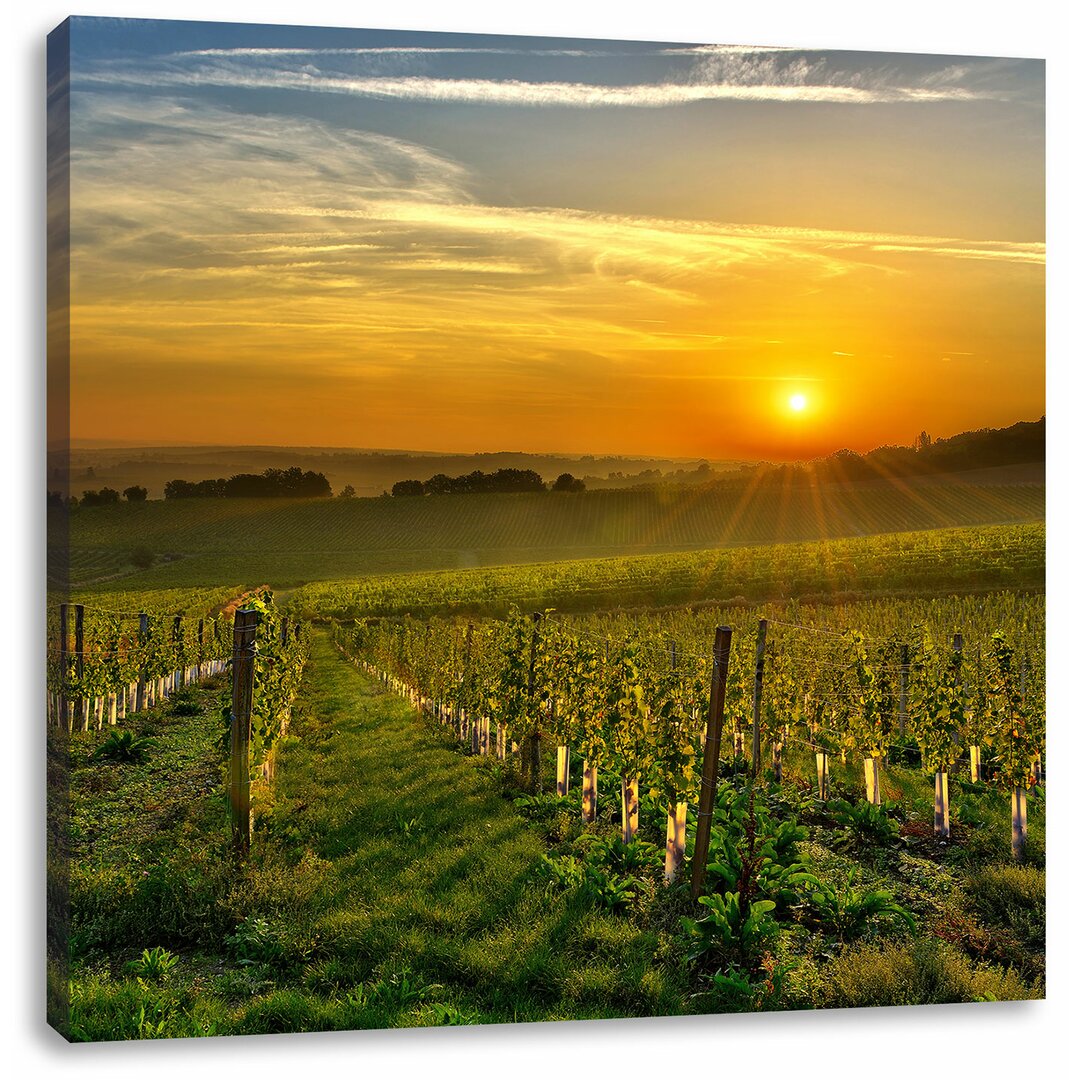 Leinwandbild Weinberg in Bergerac Frankreich