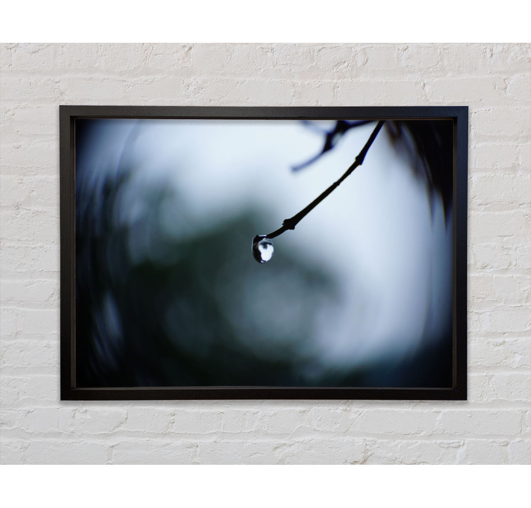 Singele Droplet On A Twig - Einzelner Bilderrahmen Kunstdrucke auf Leinwand