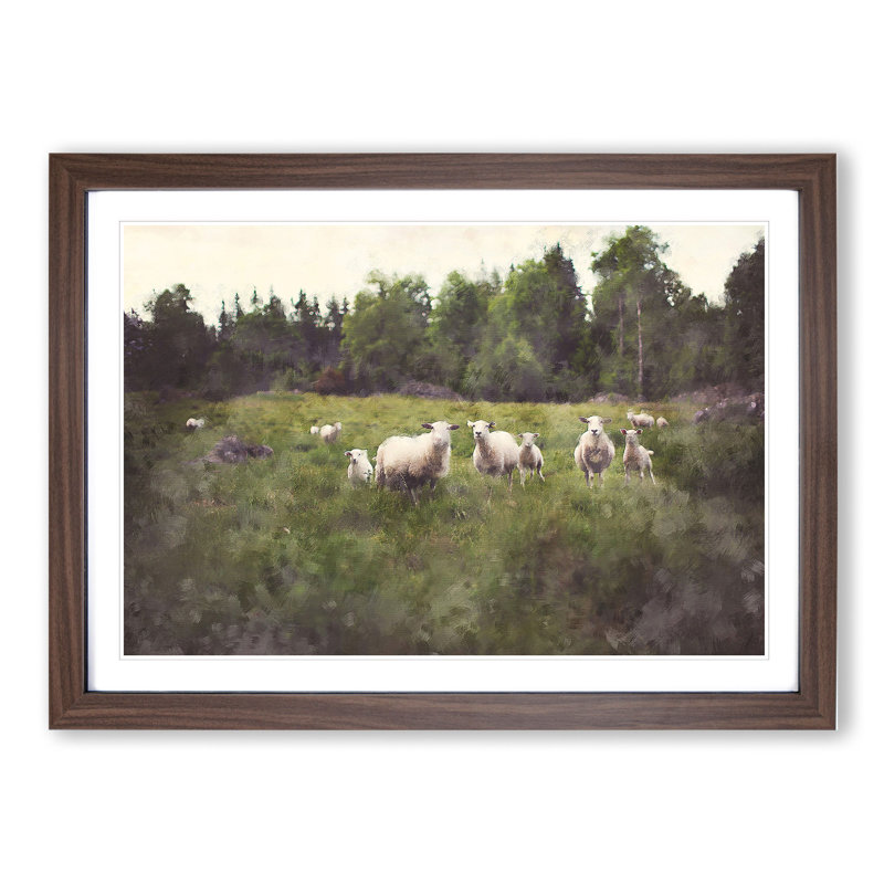Curious Sheep - Picture Frame Painting, Walnut Framed, 36cm H x 48cm W x 2cm D