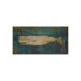 Physeter Macrocephalus Print by Sofia Fox
