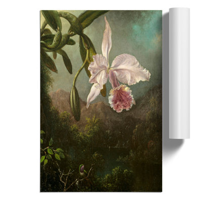 Orchid Blossoms by Martin Johnson Heade - Frameless Print