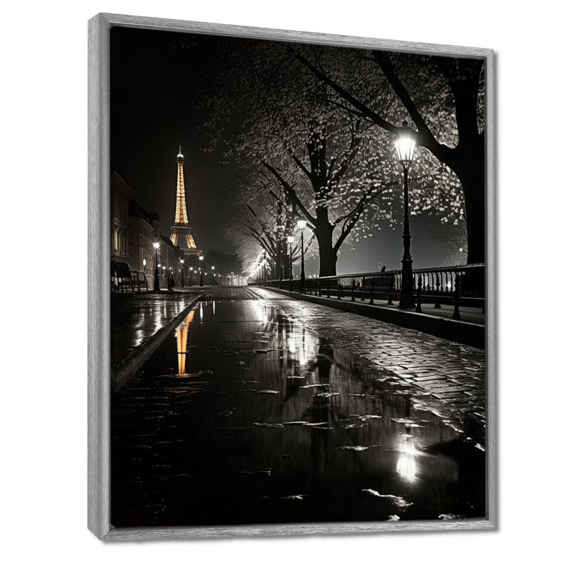 Parisian Moonlit Night I - Paris, reproduction d'art encadrée, H 20 po x l 12 po x P 1 po, Silver Floater Framed